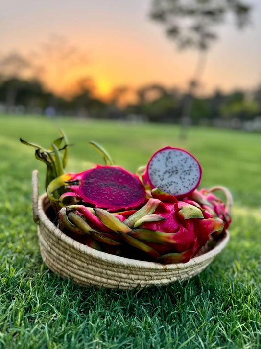 Red Dragon Fruit + Free White Dragon Fruit